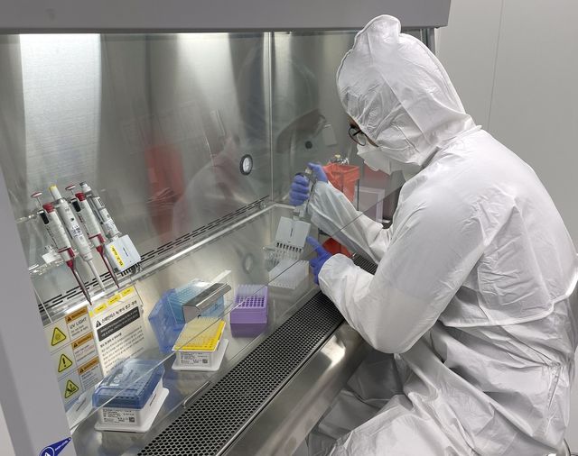 고병원성 AI 바이러스 정밀검사