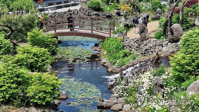 수련이 피는 계절