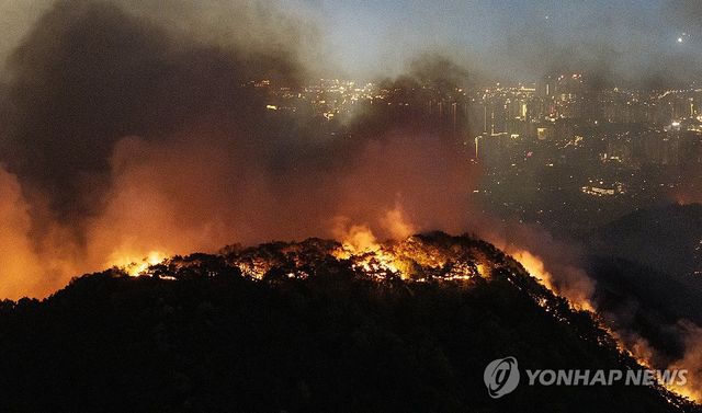 대구 도심 앞두고 불타는 산림