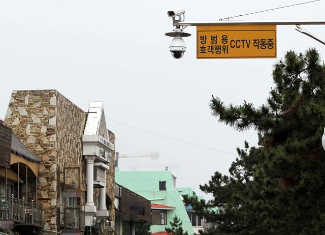 호객행위 단속 CCTV