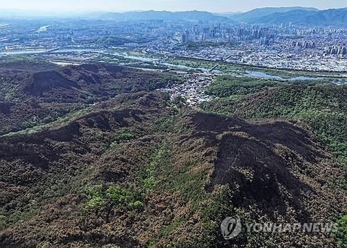 도심 위협했던 산불 흔적