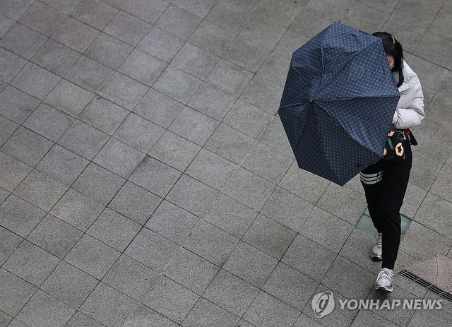 봄비 내리는 서울