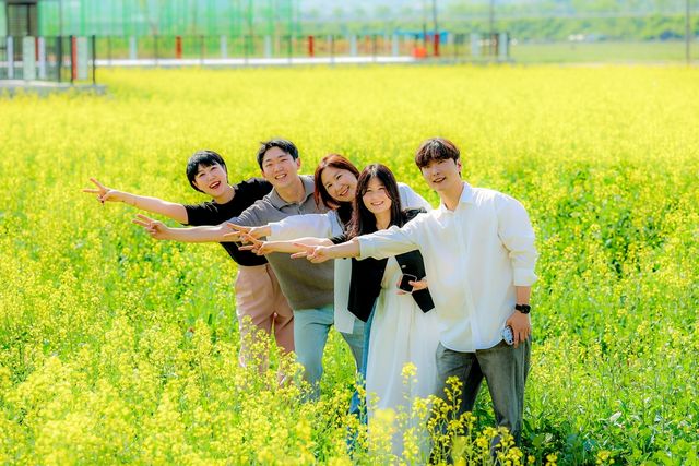 청도 풍각에 활짝 핀 유채꽃