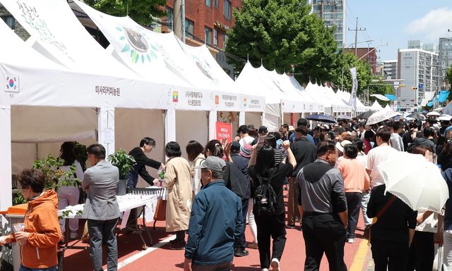 지난해 경춘선 공릉숲길 커피축제 모습