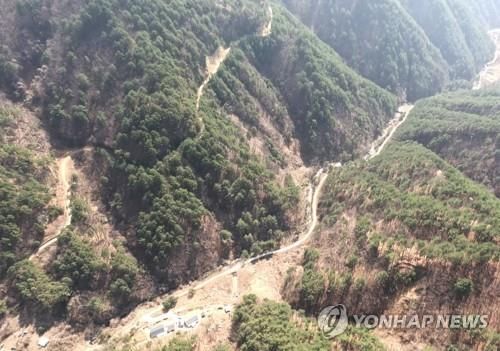 강원도 내 한 임도