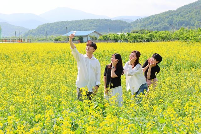 [청도군 제공.재판매 및 DB 금지]