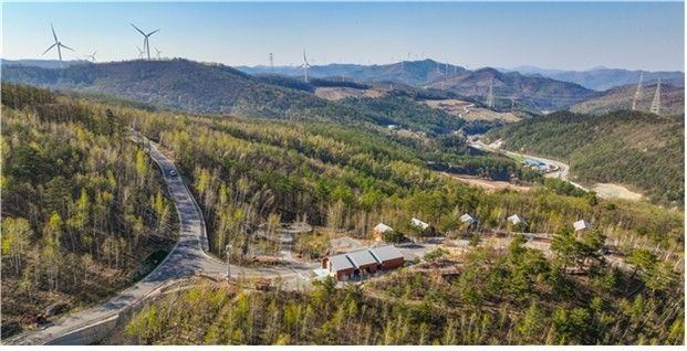 매봉산 천상의숲 전경