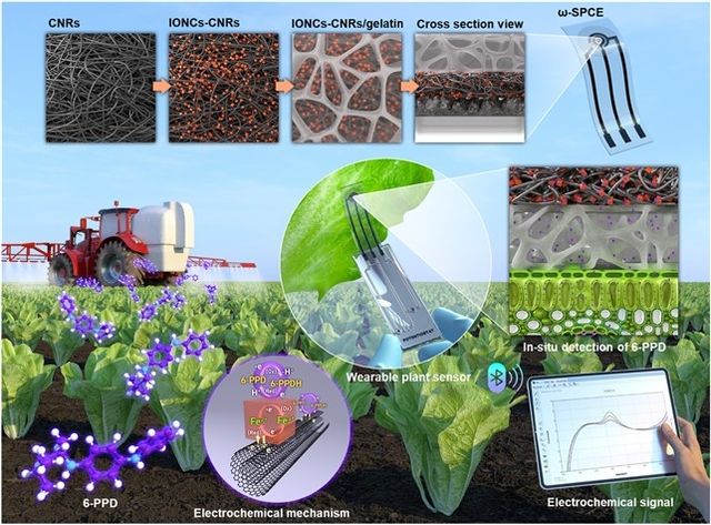 식물용 실시간 유해물질 감지 센서 모식도 