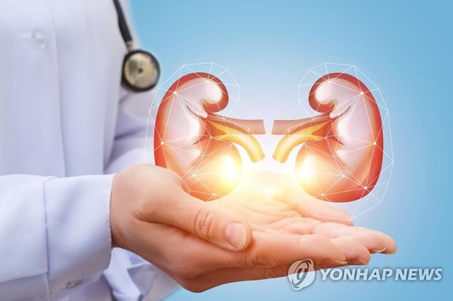 생명을 구하기 위해 기증된 신장