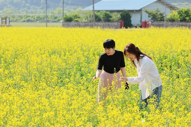 [청도군청 제공.재판매 및 DB 금지]