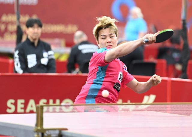 세계탁구선수권 남자단식 경기를 벌이는 안재현