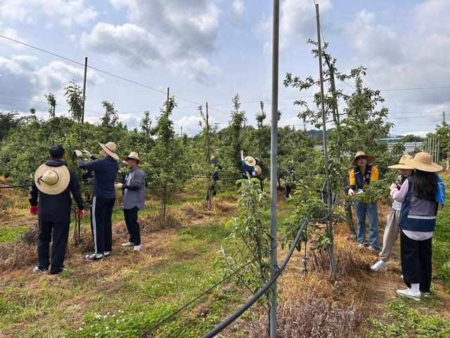 충남교육청 농촌 일손돕기