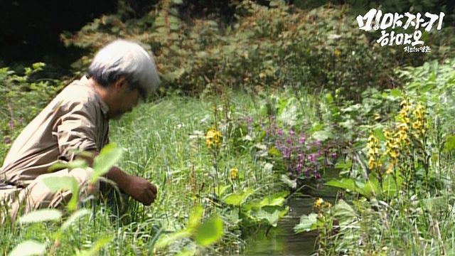 다큐멘터리 영화 '미야자키 하야오: 자연의 영혼' 속 한 장면