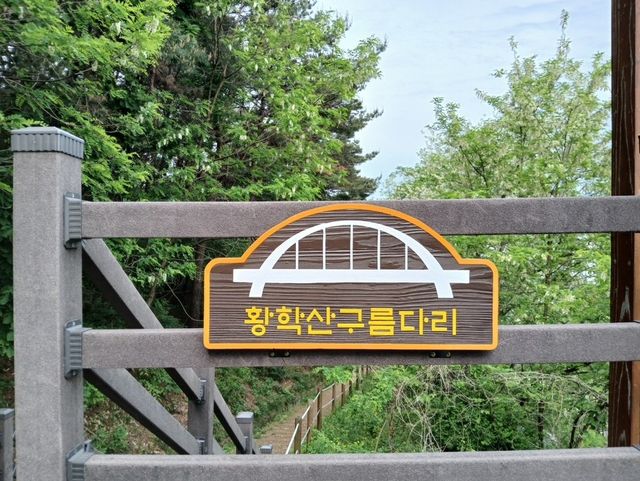 황학산 구름다리