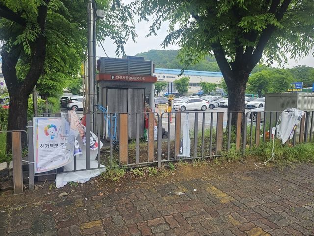 안산시 상록구 대선 벽보 훼손 현장