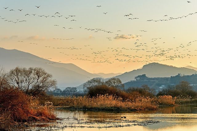 경남 김해시 화포천습지. [김해시 제공. 재판매 및 DB 금지]