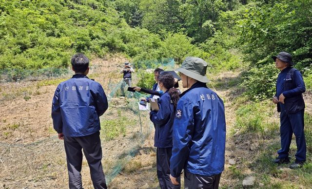 산림 내 불법행위 단속 장면