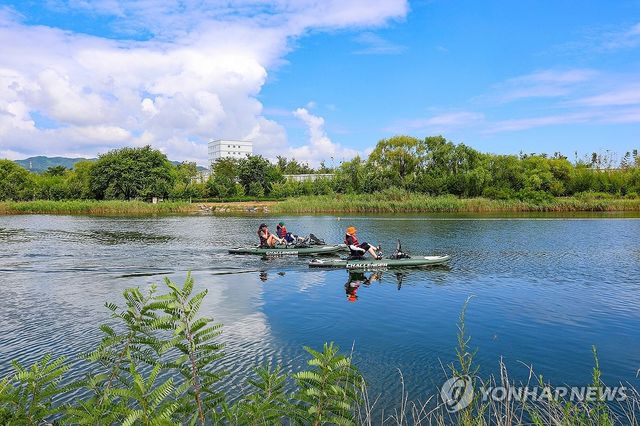 동해시 전천에서 무더위 날려요