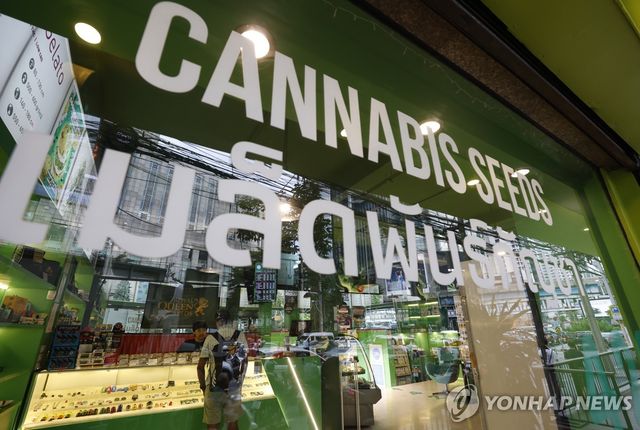 태국 대마 판매점