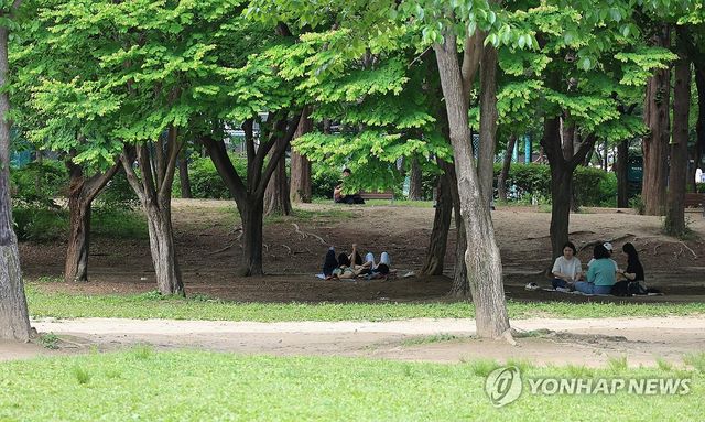 시원한 그늘이 최고!