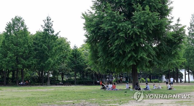 시원한 그늘이 최고!