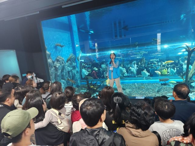 충북아쿠아리움 수중공연 장면