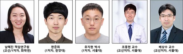 화학연·서울대 의대 공동 연구팀 