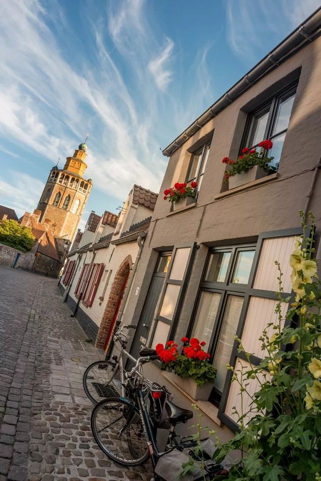 자갈로 포장된 브뤼허 발스트라아트 거리의 주택 앞 보도