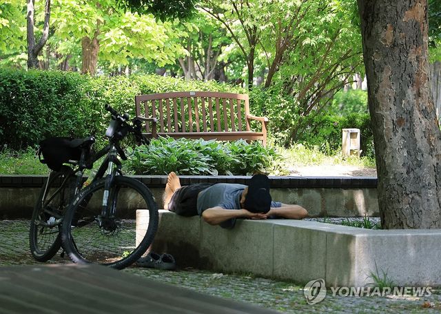 벤치보단 나무 그늘