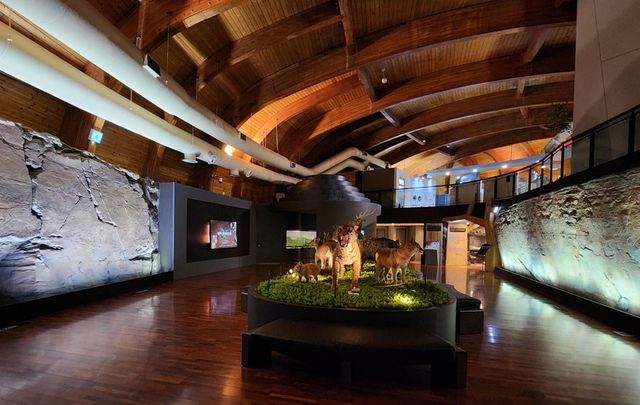 울산암각화박물관 상설 전시 모습 