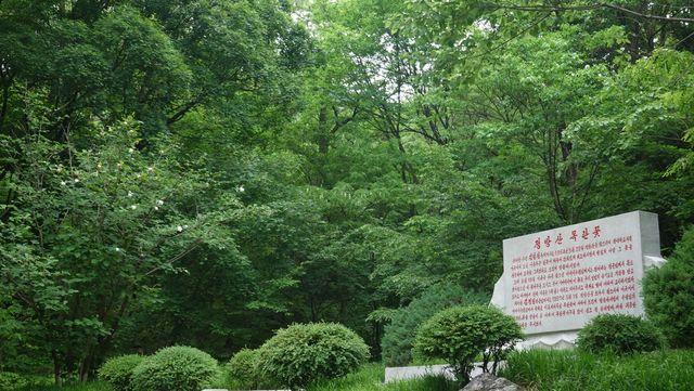 정방산에 핀 북한 국화 목란꽃(함박꽃)