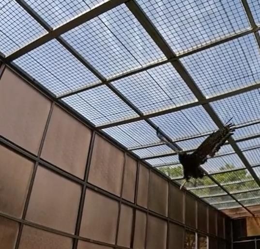 회복 훈련 받는 관수리