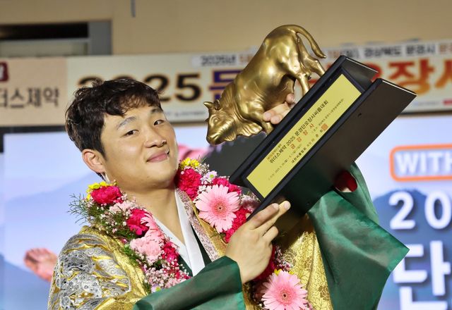 금강장사 김기수