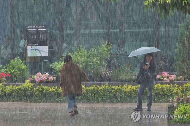 쏟아지는 소나기