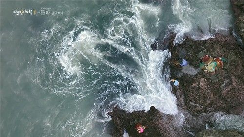 다큐멘터리 '물때, 달의 바다' 주요 장면 