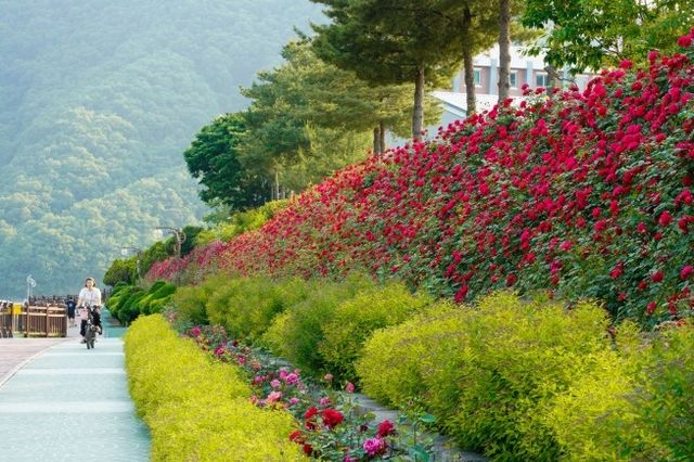 장미터널 외부 모습