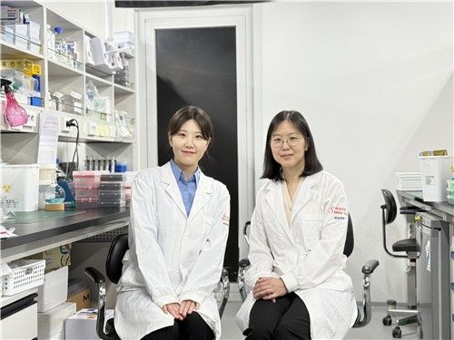 KAIST 연구팀, 슈퍼박테리아 감염증 치료 방법 제시