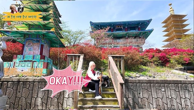 박해미와 반려견 키리의 충남 여행기