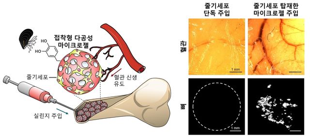 연구 이미지