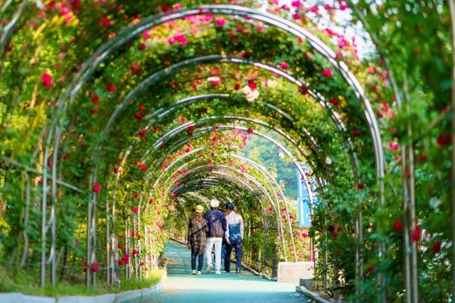 장미터널 내부 모습