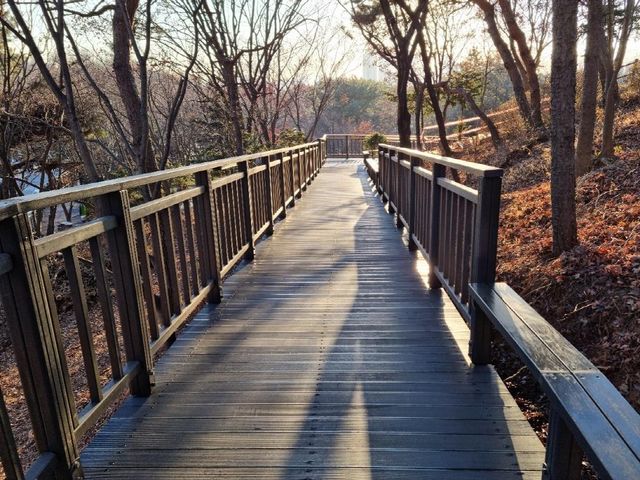 금천체육공원 무장애 데크길