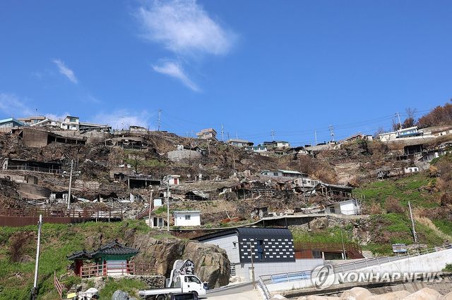 산불 흔적 그대로