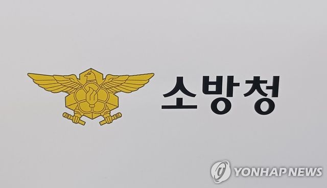 소방당국 "포항 남구서 비행기 추락"