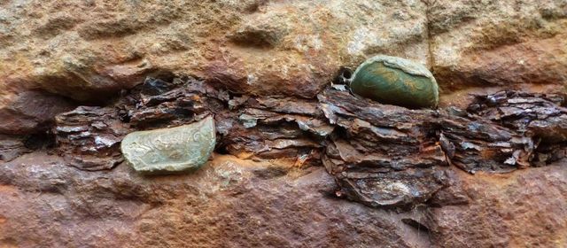 자이언트 코즈웨이에 박힌 동전