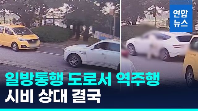 [영상] 일방통행 도로 역주행하더니…상대차 동승자 숨지게한 40대 체포 - 2