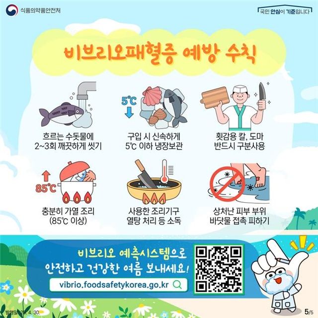 비브리오패혈증 예방 수칙