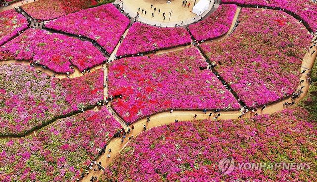 철쭉과 함께 봄나들이