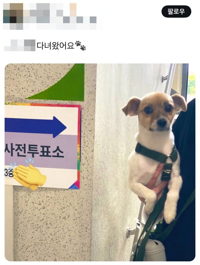 [엑스(X·옛 트위터) 캡처. 재판매 및 DB 금지]