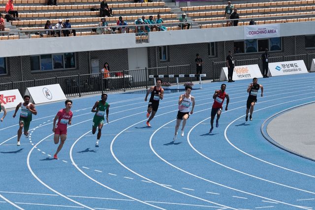 역주하는 고승환