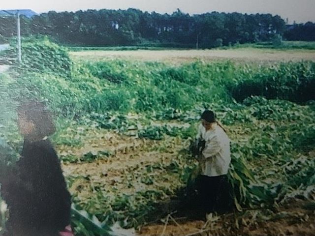 송준영씨가 자랐던 보육원의 농장에서 일하는 아이들의 모습